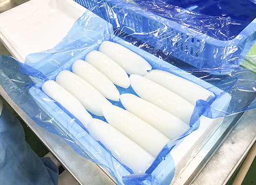 容量・サイズも選べる